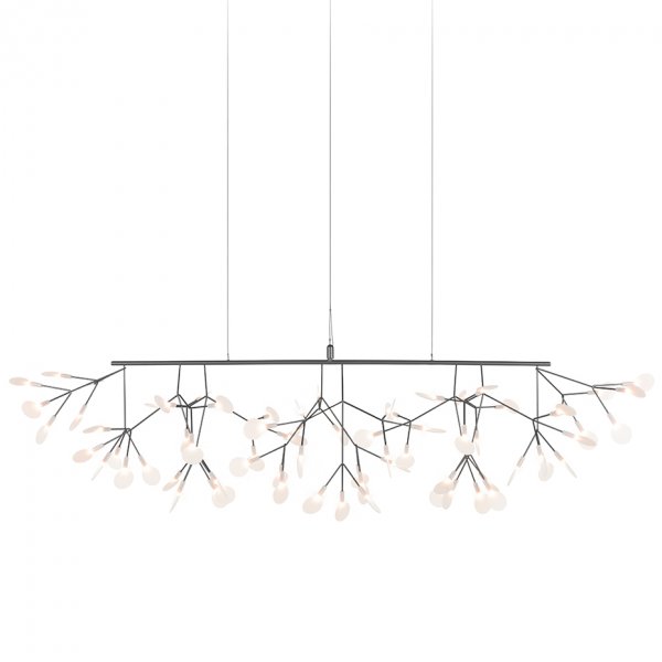 Heracleum Linear